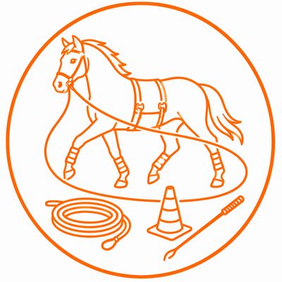 LUNGING &amp; ON GROUND ACCESSORIES