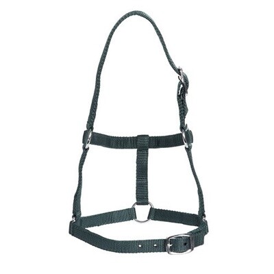 RANCHER ECONOMY FOAL HALTER