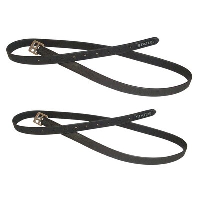 STATUS PVC 1" LEATHERS  56".