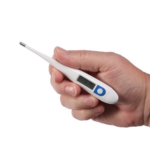 VET DIGITAL THERMOMETER