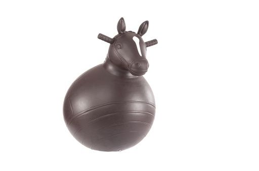 BOUNCY HORSE, Colour: ONE COLOUR, Season: JCA CORE PRODUCT, Size: ONE SIZE