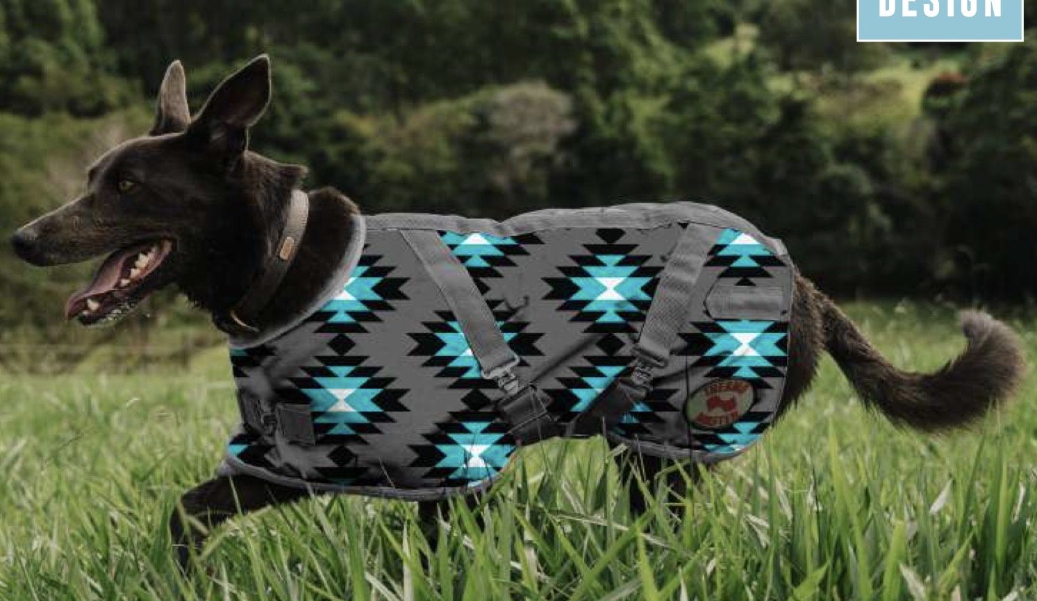 SUPREME DOG COAT 2026