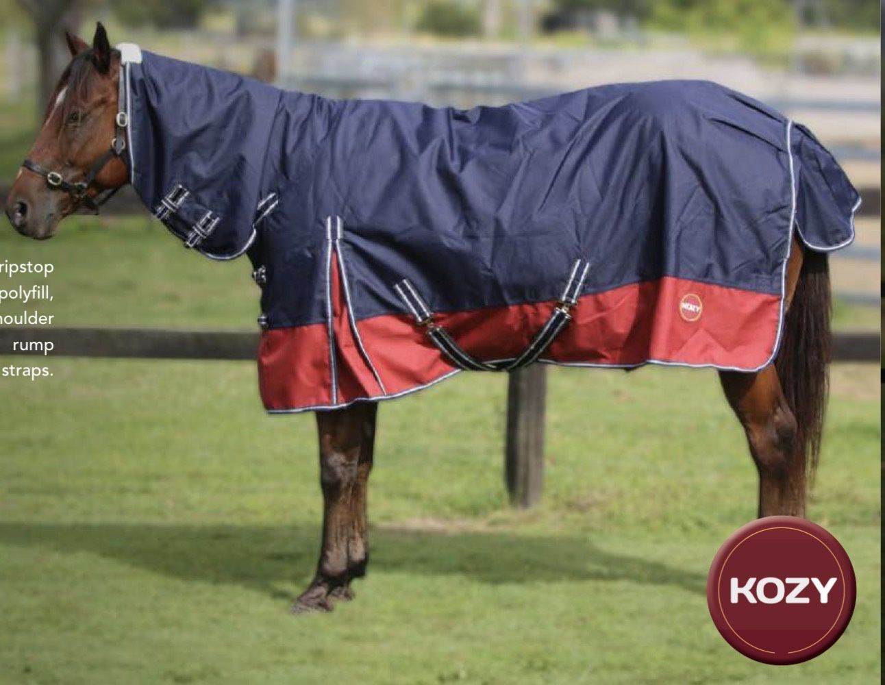 1200D QUEENSLANDER RUG COMBO 100GM FILL NAVY/RED