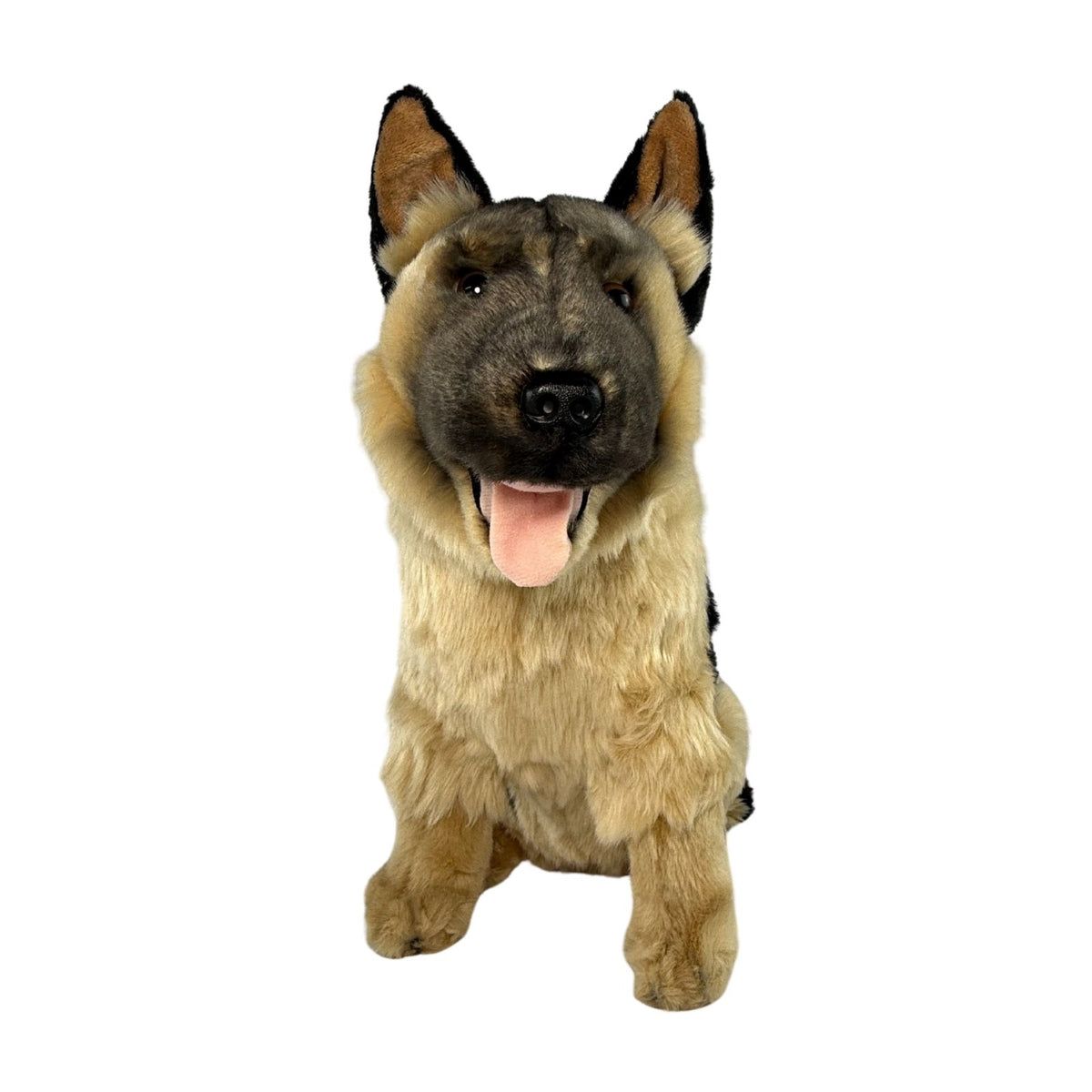 GERMAN SHEPHERD MAJOR