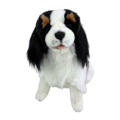 CHESTER CAVALIER KING CHARLES SPANIEL