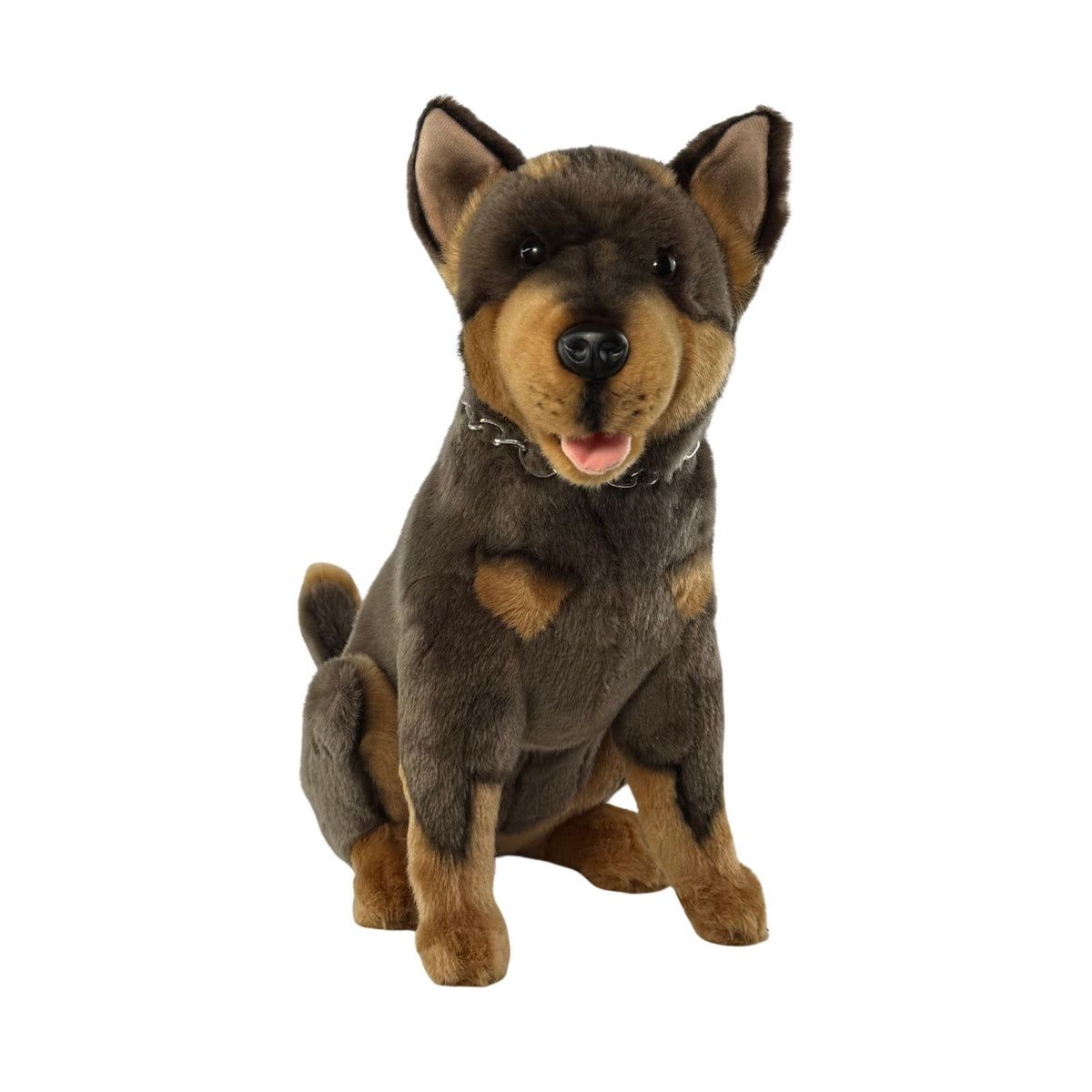CANNON KELPIE SITTING
