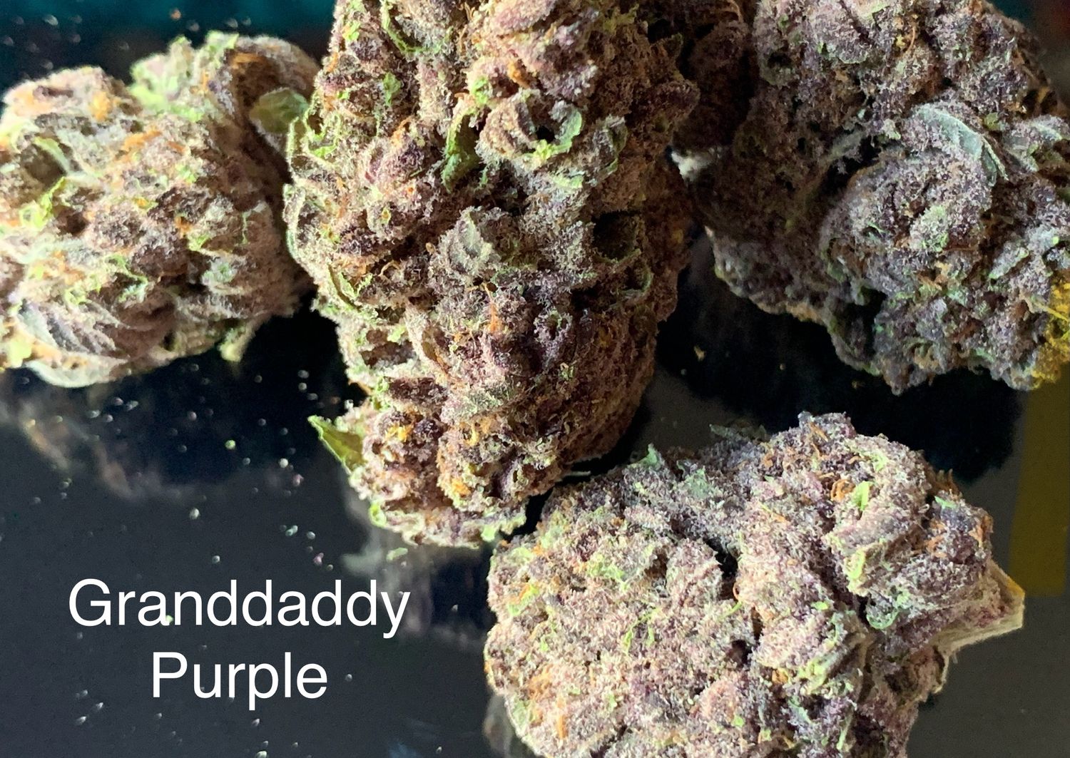 Granddaddy Purple