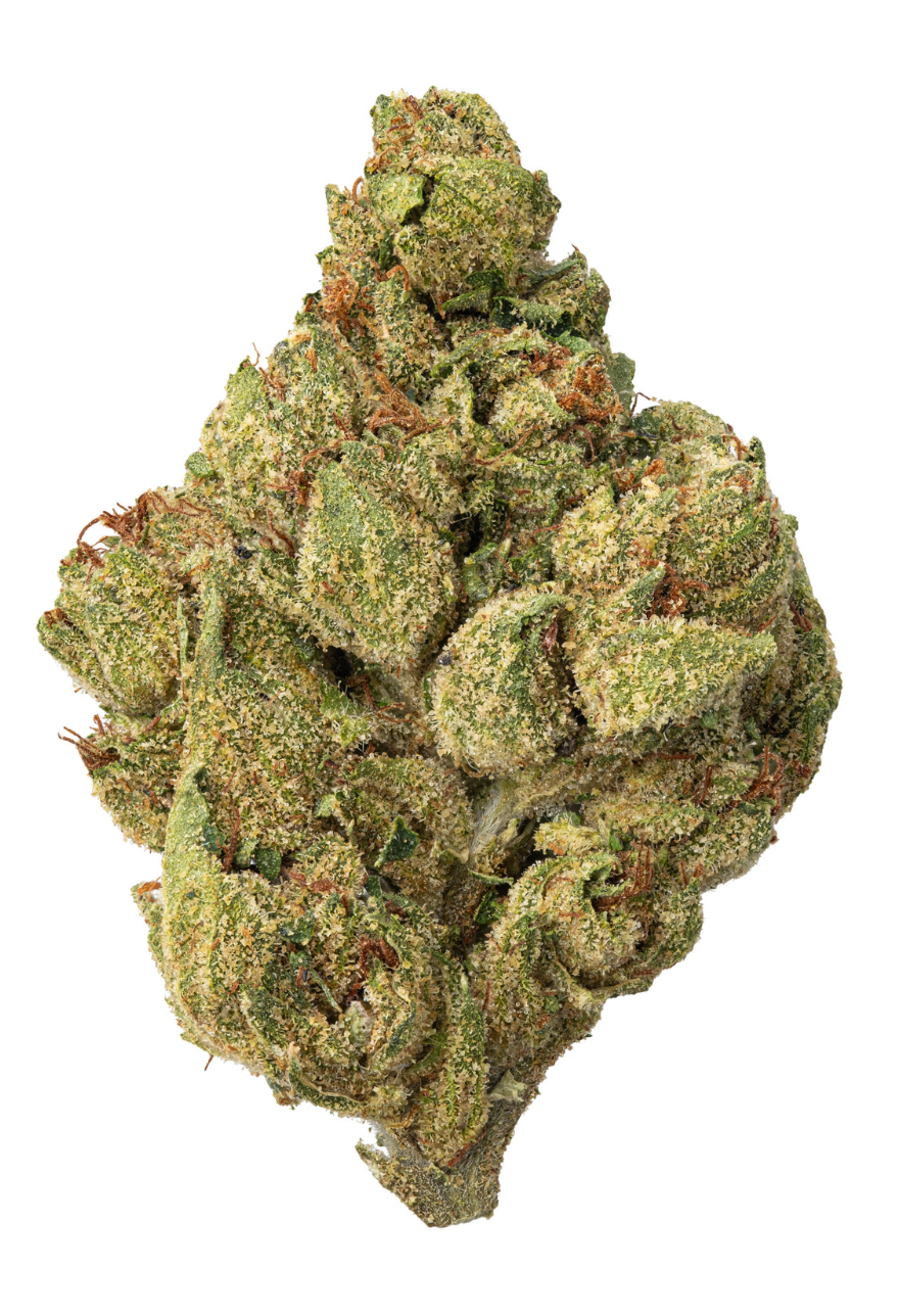 Venom OG (H)