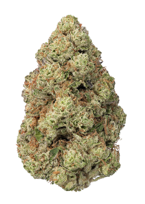 Slurricane (IH)