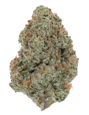 Orange Creamsicle (SH)