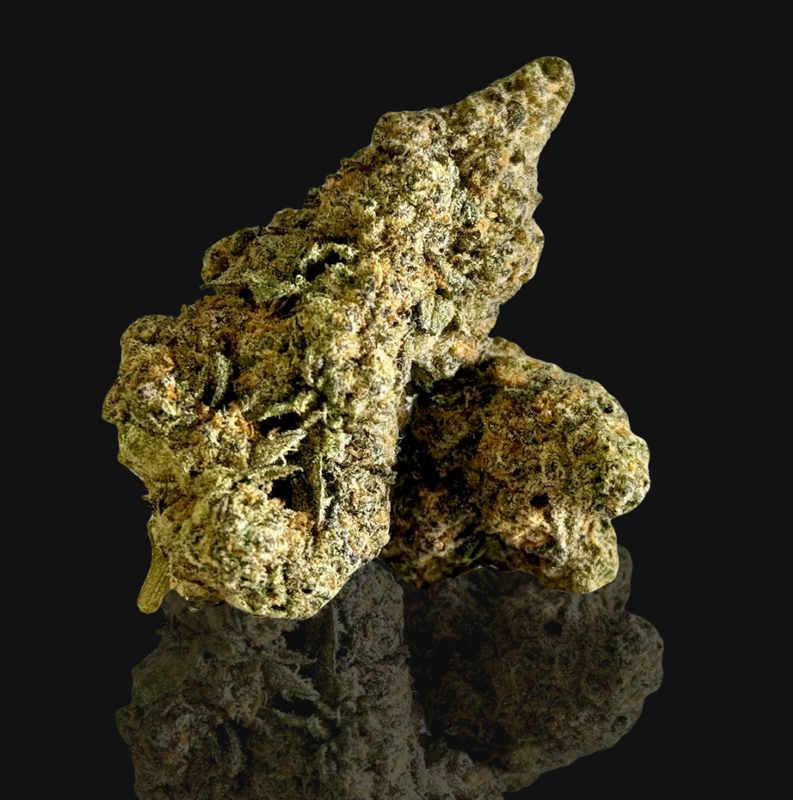 Dagashi Kush (IH)