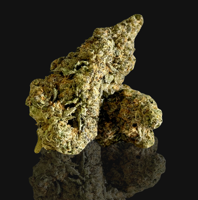 Dagashi Kush (IH)
