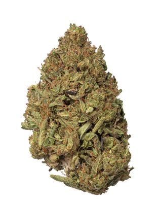 Apple Fritter (H)
