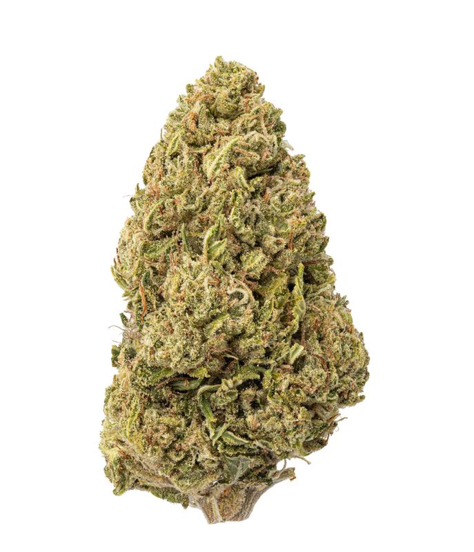 Madman OG (H)