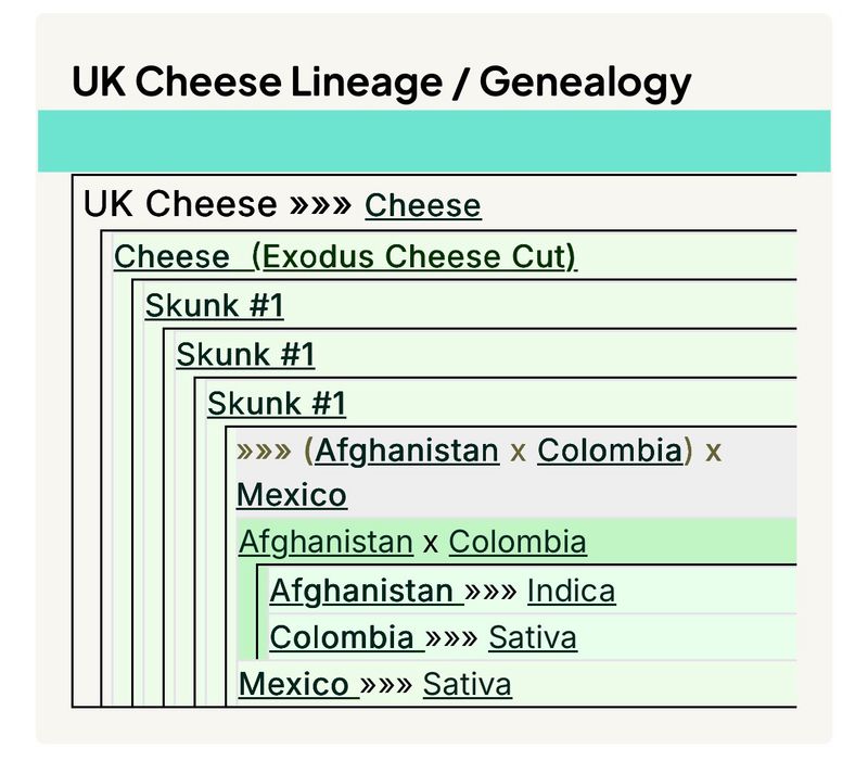UK Cheese (IH)