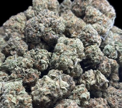 Blueberry Muffin (IH)