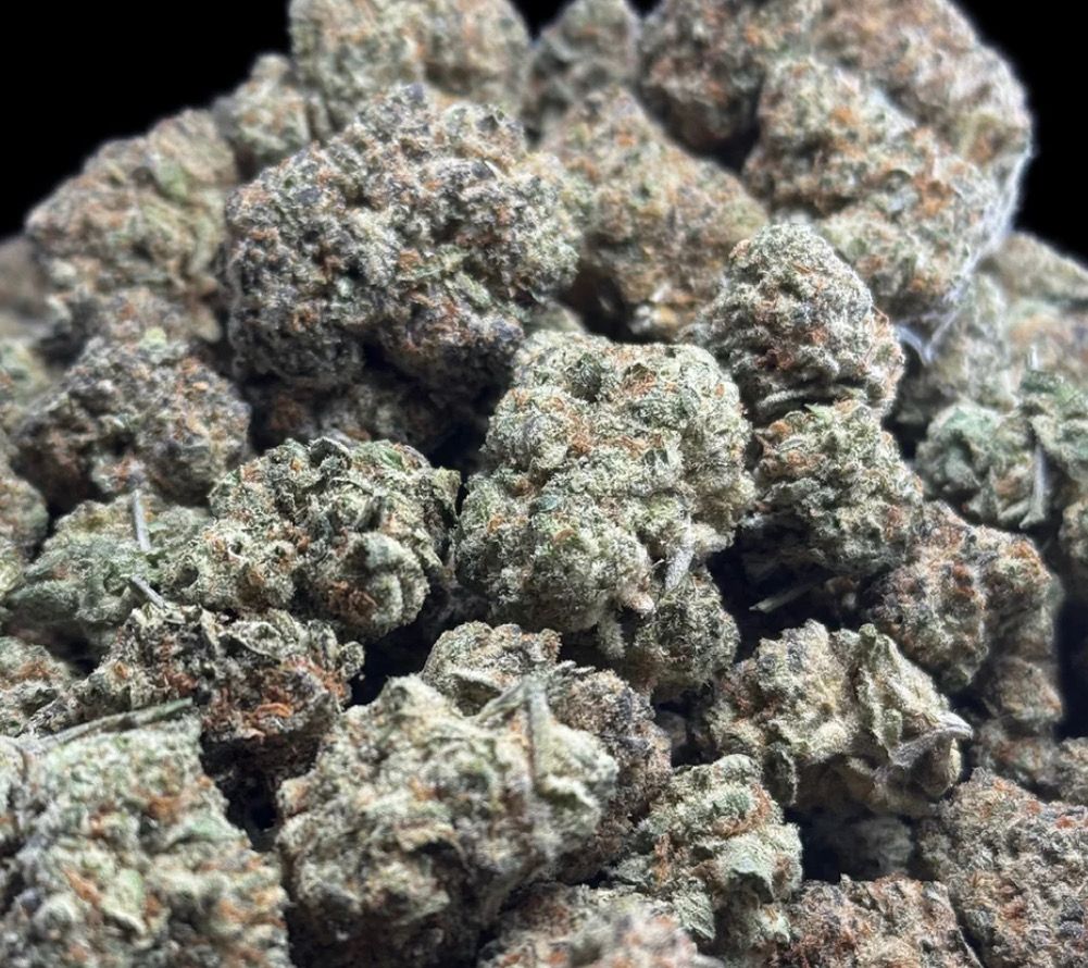 Blueberry Muffin (IH)