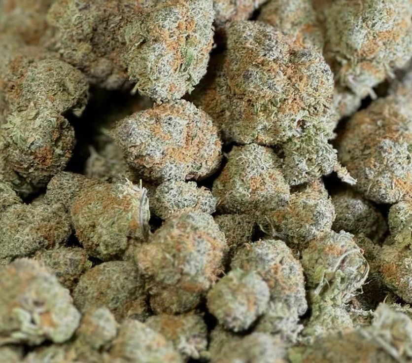 Hawaiian Snowcone (SH)