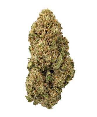 Colombian Gold (SH)