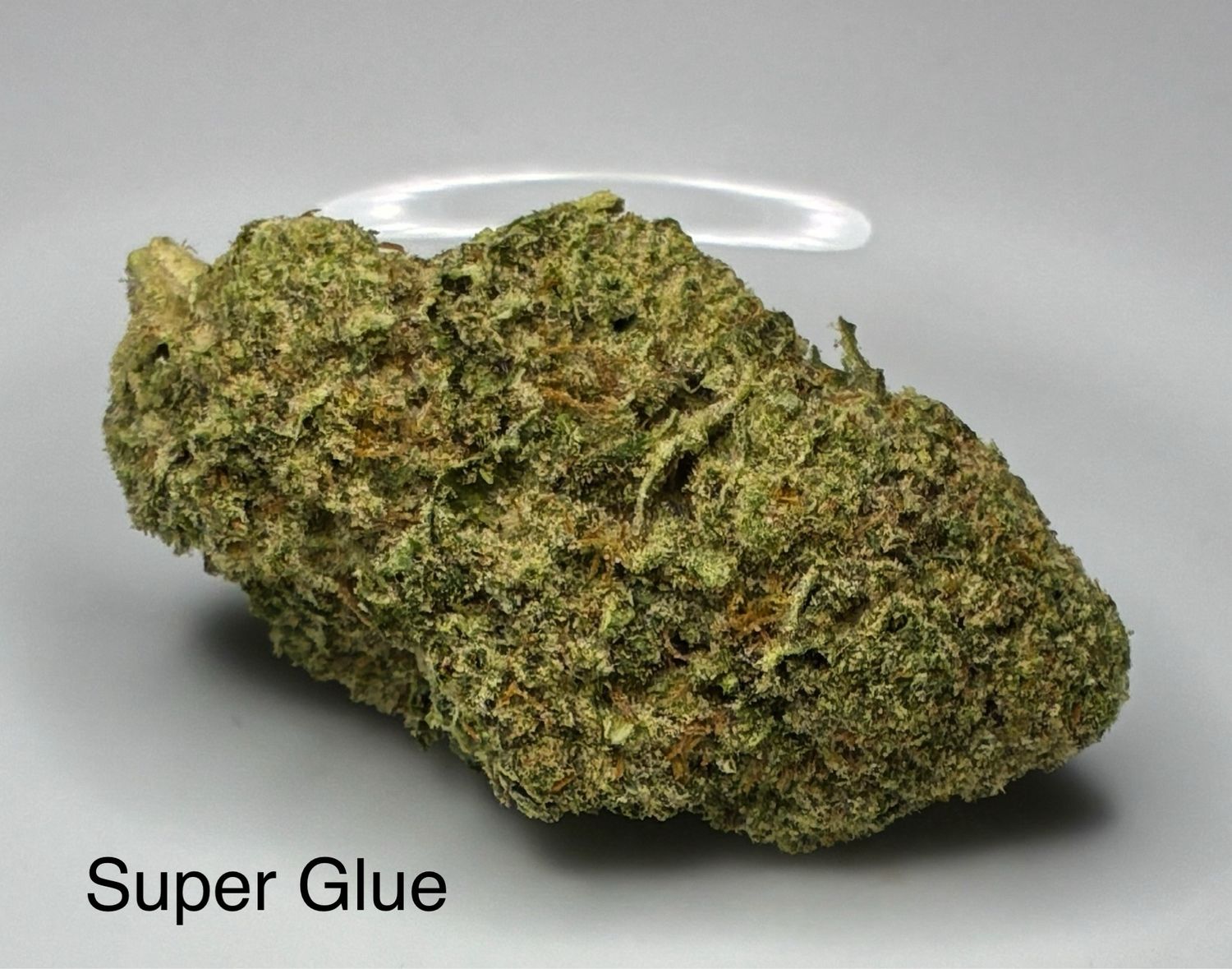 Super Glue (IH)