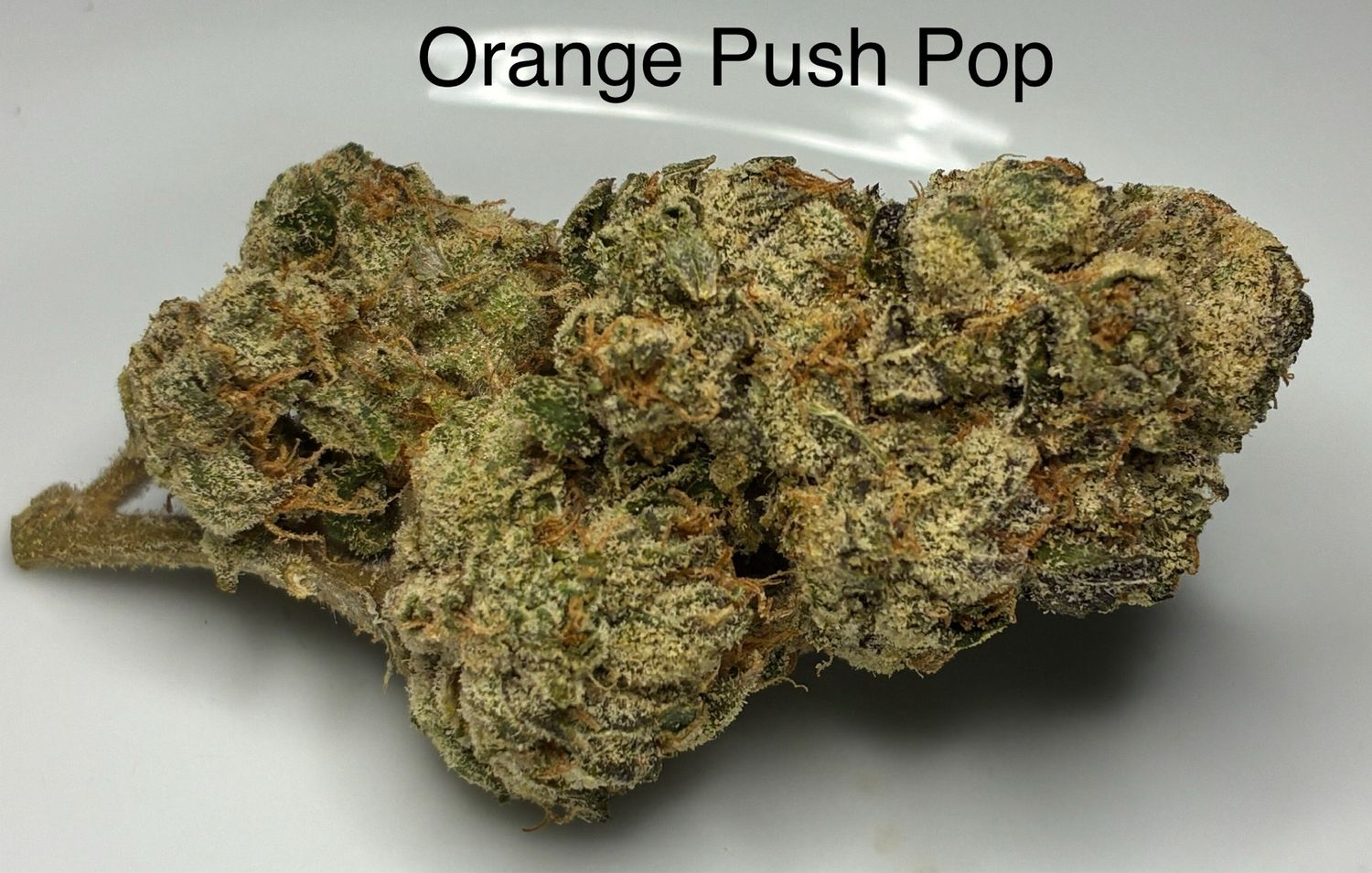 Orange Push Pop (IH)
