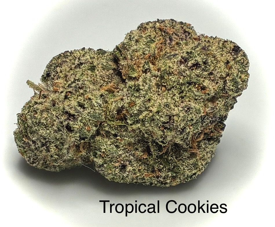 Tropical Cookies (SH)
