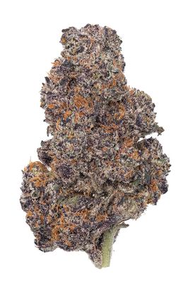 Gorilla Cookies (SH)