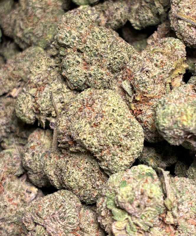 Tropical Cookies (SH)