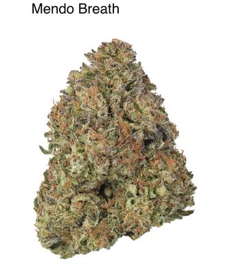 Mendo Breath (IH)