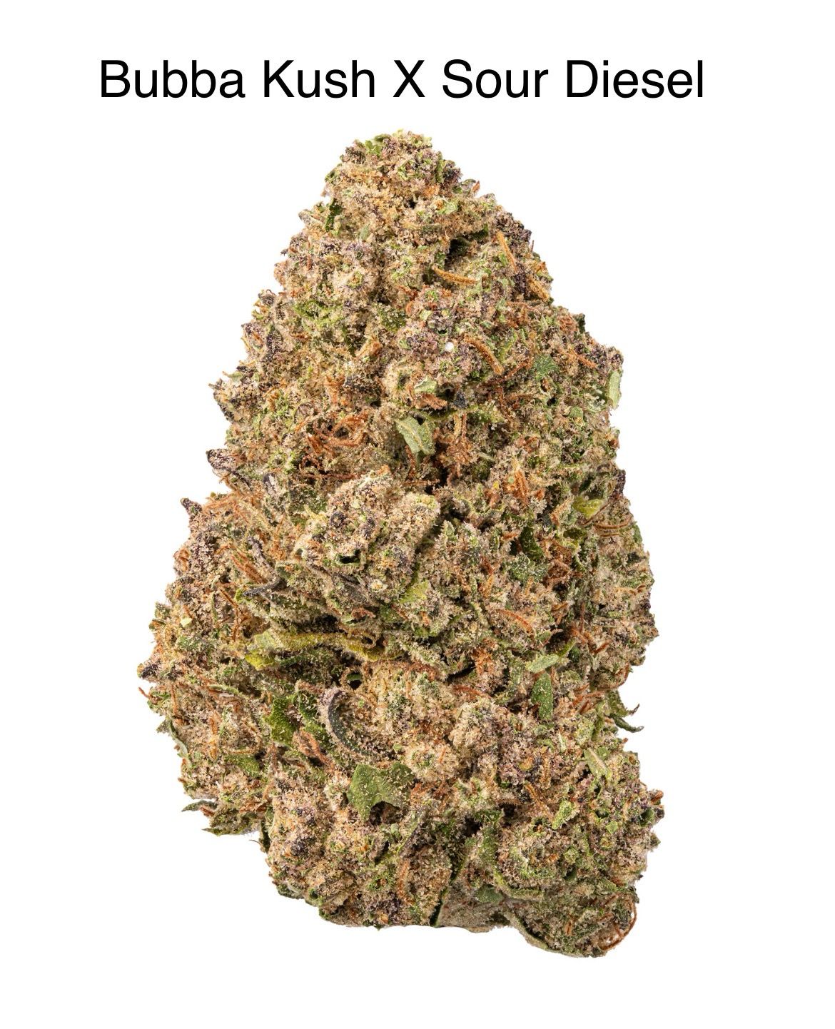 Bubba Kush X Sour Diesel (IH)