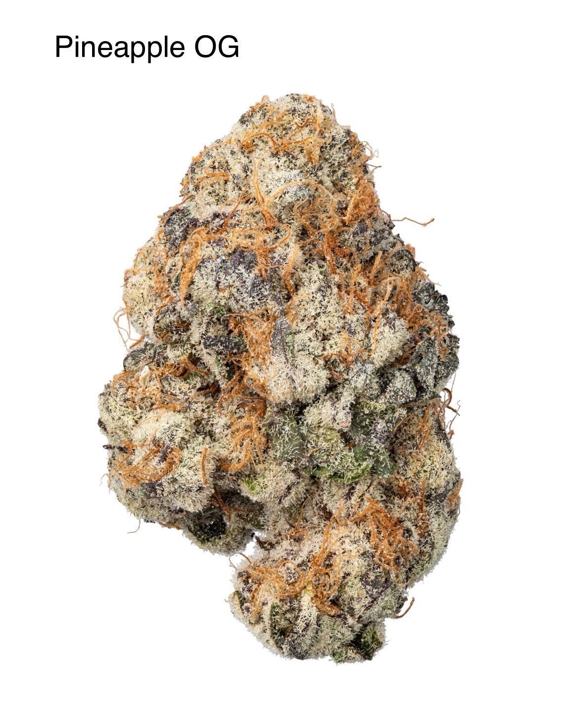 Pineapple OG (SH)