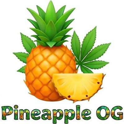 Pineapple OG (SH)