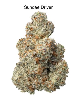 Sundae Driver (H)