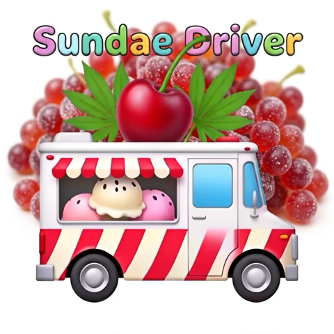 Sundae Driver (H)