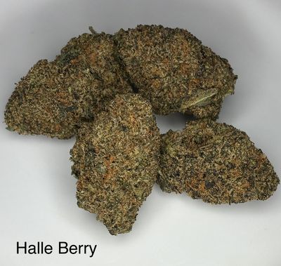Halle Berry (SH)