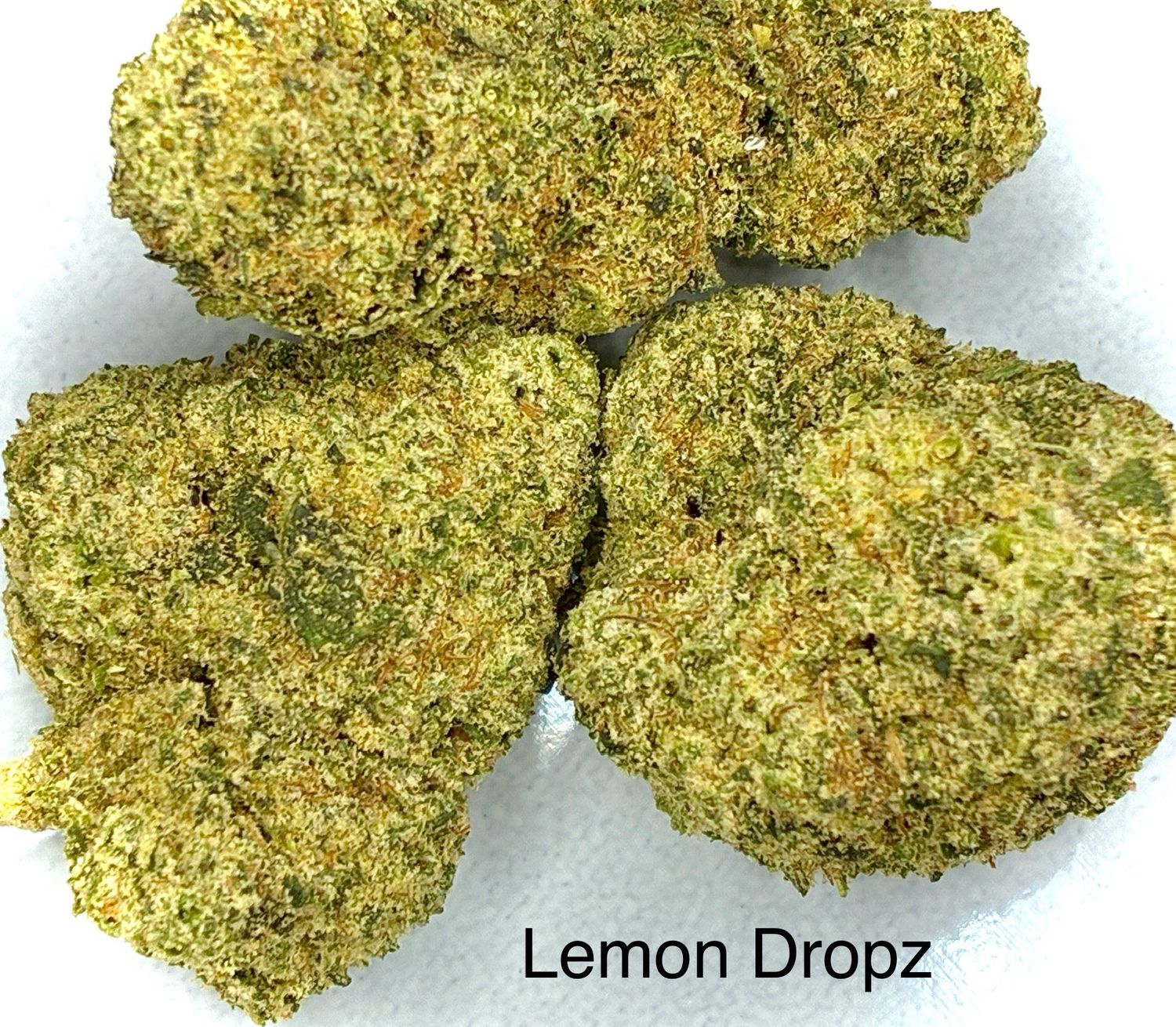 Lemon Dropz (SH) smalls