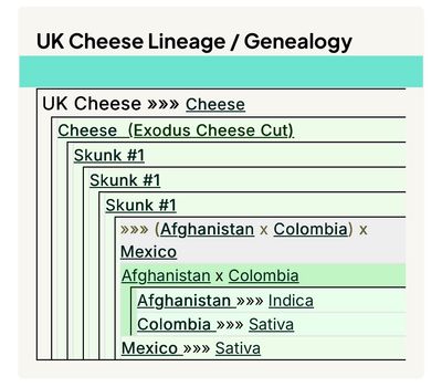UK Cheese (IH) smalls