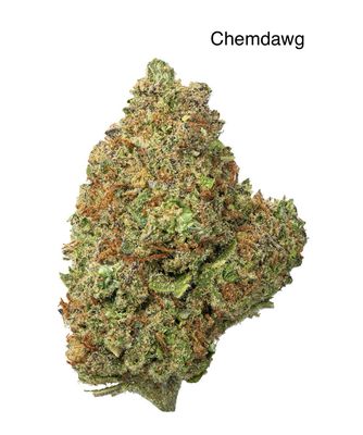 Chemdawg (IH)