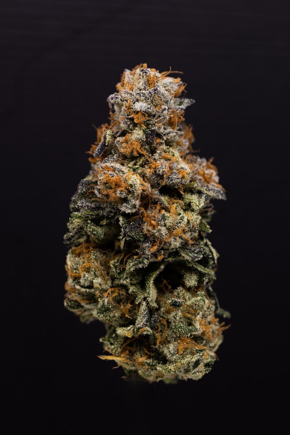 Gas Melon Sherb (IH)