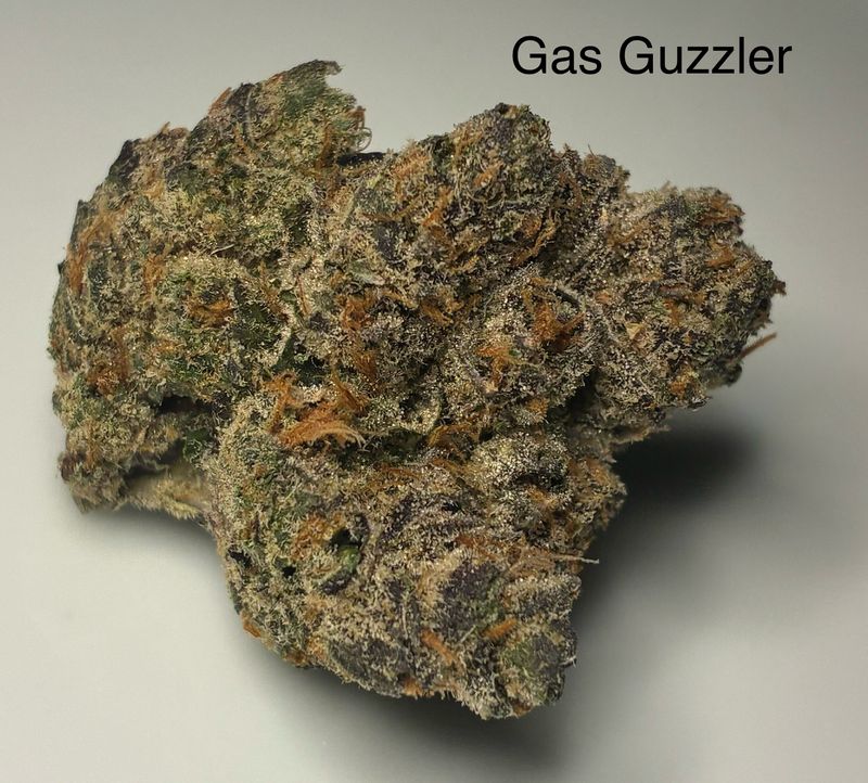 Gas Guzzler (IH)