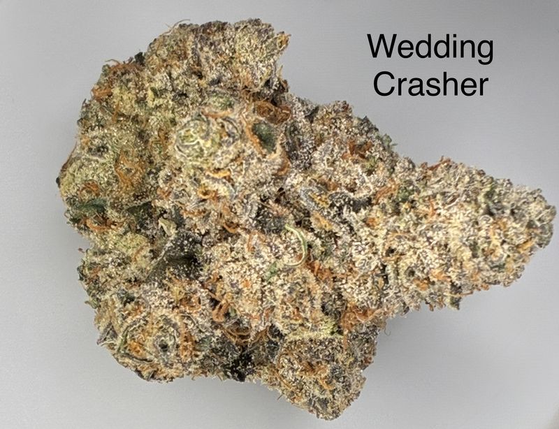 Wedding Crasher (H)