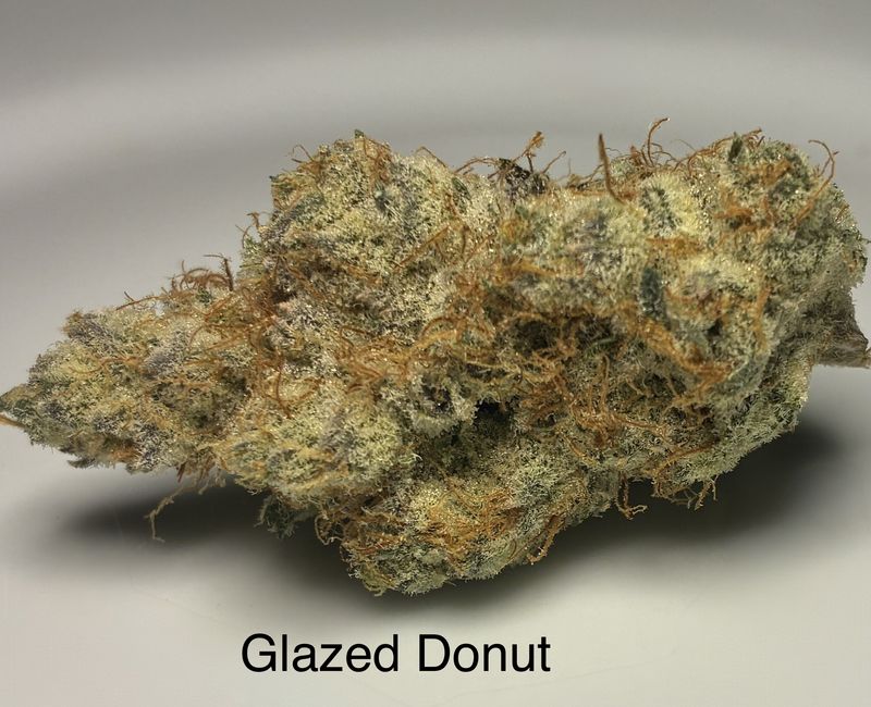 Glazed Donut (H)