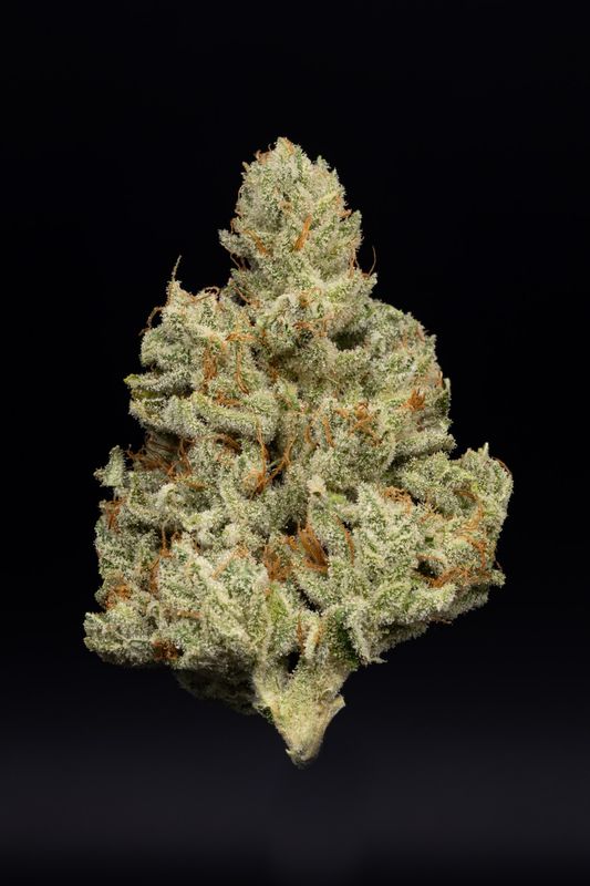 GG4 (IH)