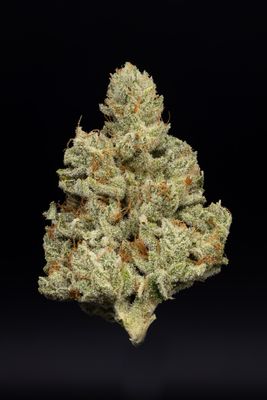 GG4 (IH)