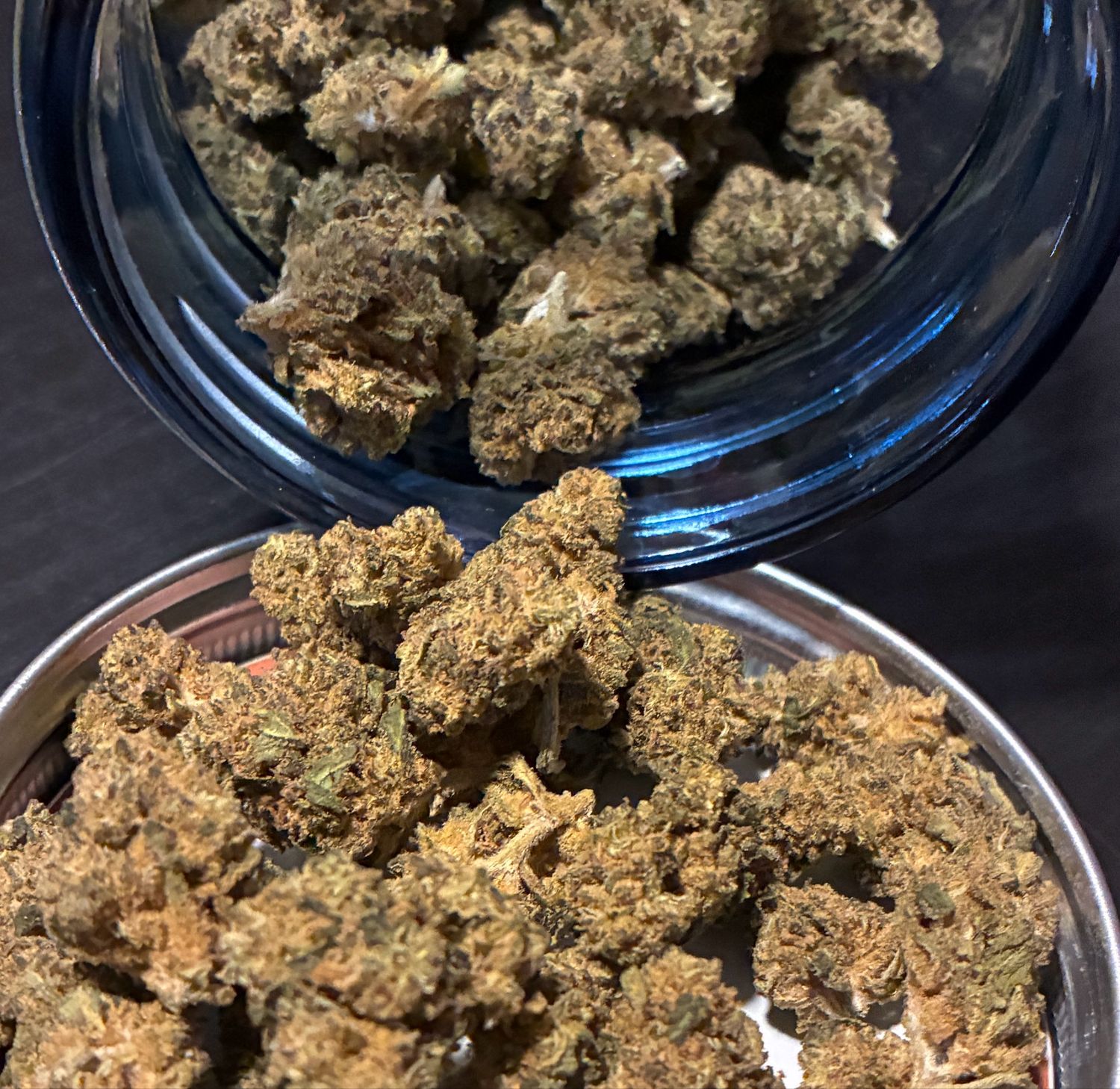 Colombian Gold (SH) smalls