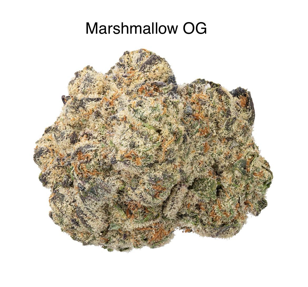 Marshmallow OG (IH)