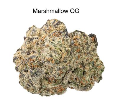 Marshmallow OG (IH)