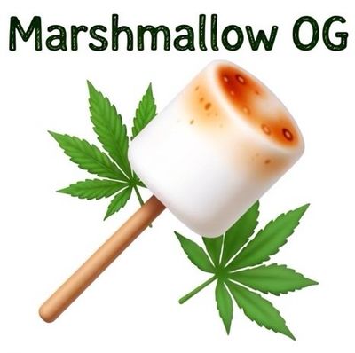 Marshmallow OG (IH)