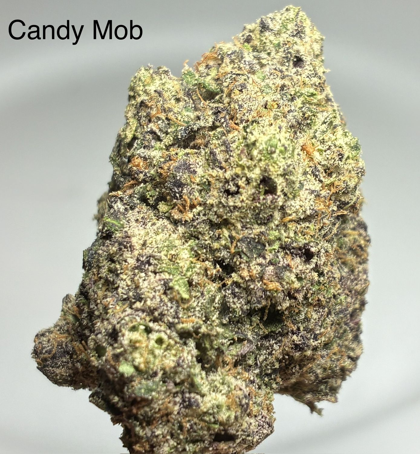 Candy Mob (SH)