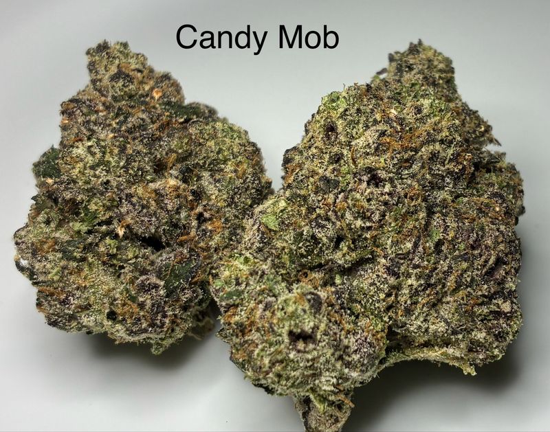 Candy Mob (SH)